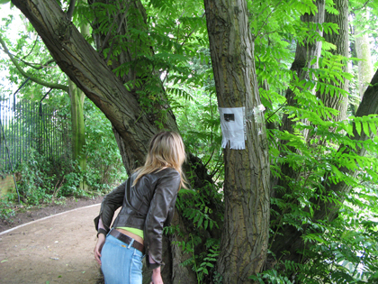 hendrikse gansterer parcours interdit